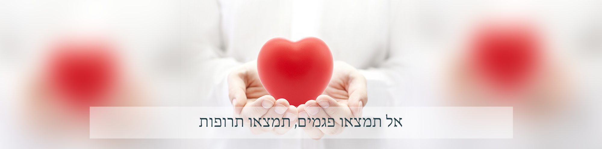 תמונה אתר 10